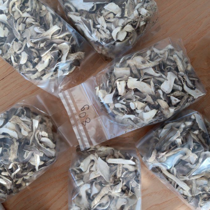 Pleurote gris bio - 80g