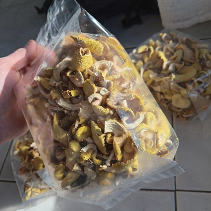 Pleurote jaune bio - 80g