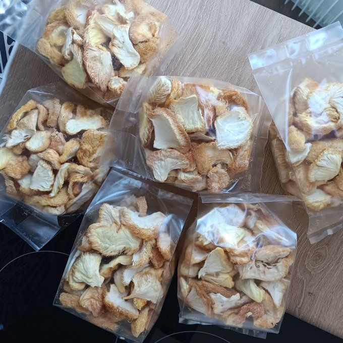 Lion's mane bio - 60g