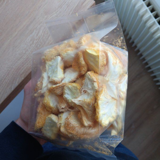 Lion's mane bio - 60g