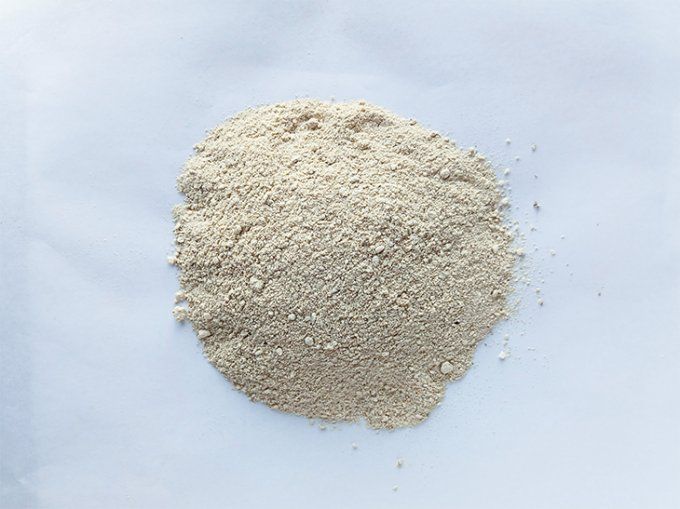 Shiitakés bio en poudre 40g