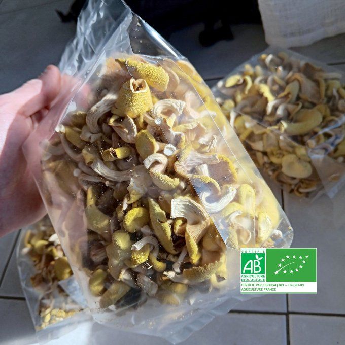 Pleurote jaune bio - 70g