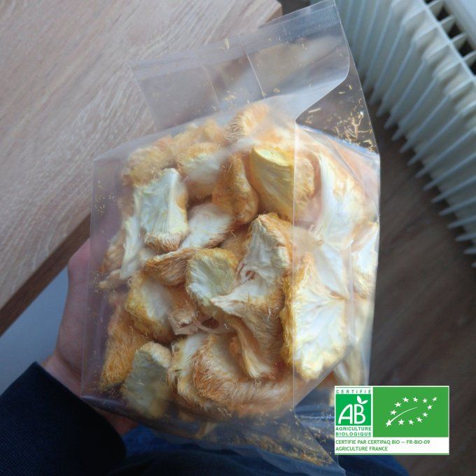 Lion's mane bio - 60g