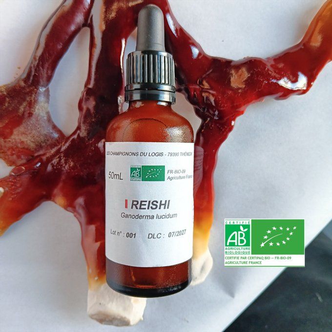 Extrait de Reishi bio - 50mL