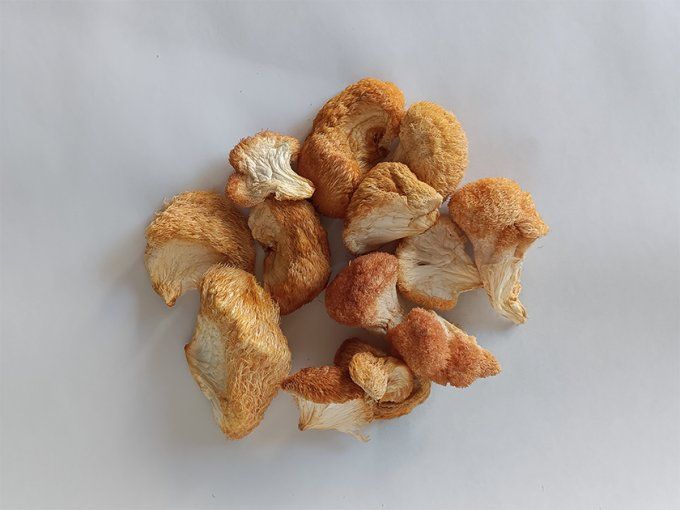 Lion's mane séchés bio 25g