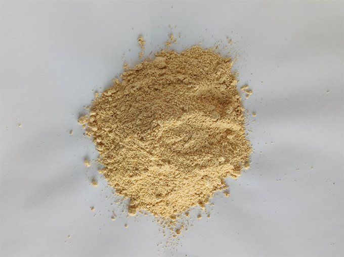 Lion's mane bio en poudre 40g