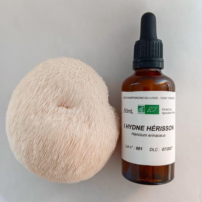 Lion's mane bio - Teinture 50mL