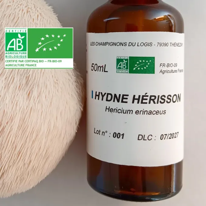 Lion's mane bio - Teinture 50mL
