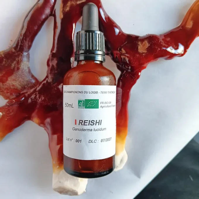 Reishi bio - Teinture 50mL