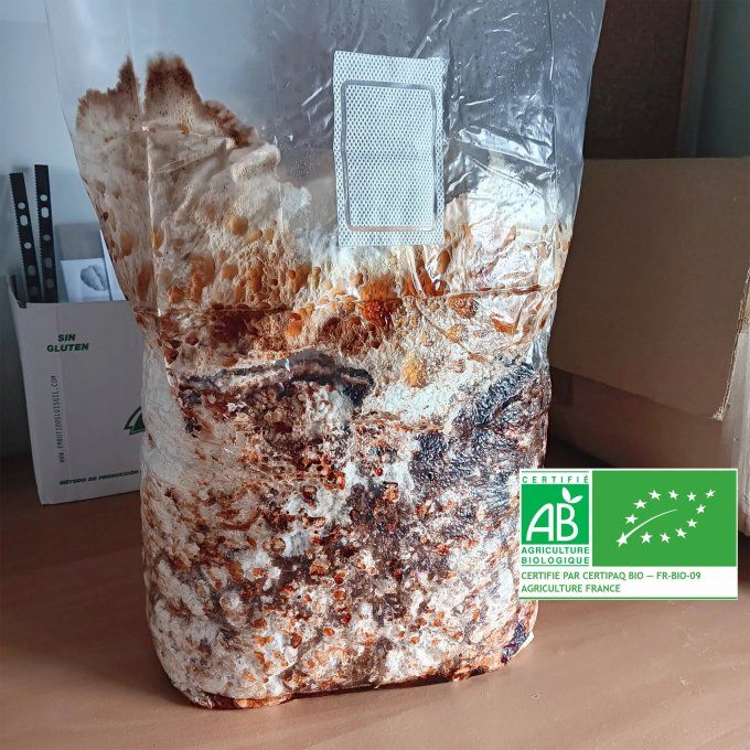 Ballot 4,5kg - Shiitakés bio