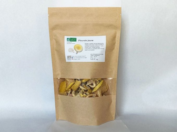 Pleurotes jaunes séchés bio 25g