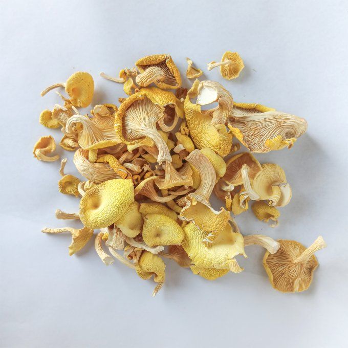 Pleurote jaune bio - 70g
