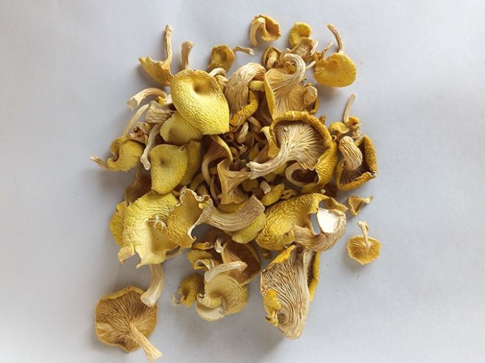 Pleurotes jaunes séchés bio 25g